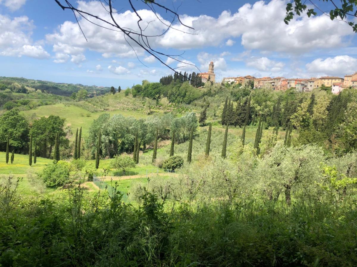 Selvatelle Casa Loumavi Bed & Breakfast エクステリア 写真